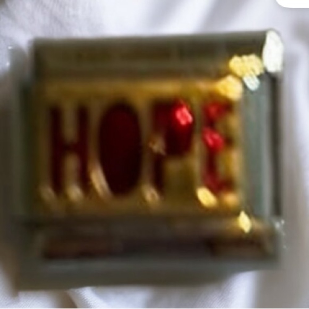 ZOPPINI (nomination) 2/$25 HOPE bracelet link